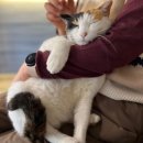 빨간 시골집 이미지