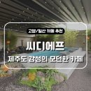 모던한 분위기와 제주도 감성의 일산 고양 서오릉 카페 씨디에프(CDF) 후기