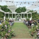 땅마당공인중개사사무소 이미지