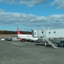 270-2535 | [2025년 마지막 해외여행] 일본 미야자키 다카치호협곡 노베오카 후쿠오카 4박5일 여행 일정 코스 숙소...