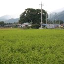 청평관광안내소 이미지