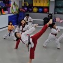 국가대표 나래 태권도장 이미지
