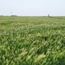 가파보건진료소 이미지