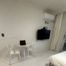 비비오네 이미지