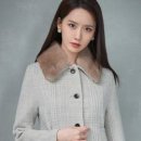올인라이브 이미지