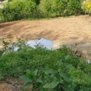 연평농장 이미지