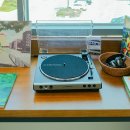 전의나무도서관 이미지