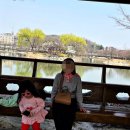 애련정 | 이천 아이와 산책하기 좋은곳 왕들도 쉬어 가는 안흥지 애련정