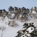 제주 한라산(漢拏山 1,950m) 이미지