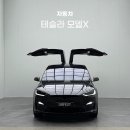곡현로 | 테슬라 모델X 광명 이케아 출고 후기 FSD 대란 동참