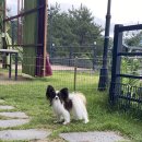 모카펜션 이미지