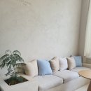 아보카(AVOCA) 이미지