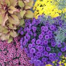 강남종로엠독학기숙학원 | 경기도기숙형학원 넘버원 강남종로엠기숙학원