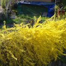 여울목 초연당 이미지