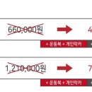 라이즈짐양벌
