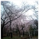 자연공원 이미지