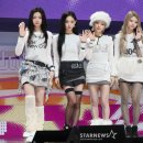 더독스 미니 이미지