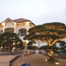 소나무리조트 이미지