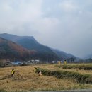 금대리 마을회관 이미지