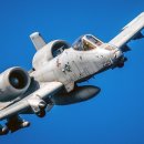 A-10 이미지