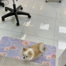 도기살롱 이미지