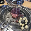 복터진날복돼지