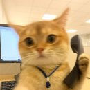 바른약국 이미지