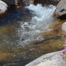 반구대 편백하우스 이미지