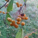 심산농장 이미지