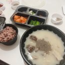 알파약국 | 일본여행 쇼핑리스트 카베진 알파 약국 가격 쉽고 편하게 구매한 후기