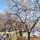 내상리 장작불 한우곰탕 이미지