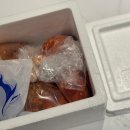 보배김치 | 국산김치 추천 보배김치 배추김치 깍두기 솔직후기