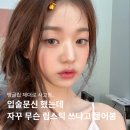 선릉역영이네 | [강남/선릉 영구걸] 입술문신, 립스틱 뭐 발랐냐고 물어보는 이유
