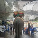 강변식당 이미지