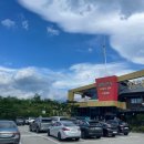 수목화를 그리는 송정마을 | 고성 해수욕장 해파리 구경, 설악 본가 설렁탕, 아침에 문 여는 카페 박은태 커피(커피 맛집)