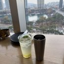 아그라 | [잠실] 커리 입문 성공한 날, 아그라 솔직 후기