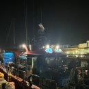 뉴해모수 | 쭈갑시즌 대천항 쭈꾸미 낚시 후기/에기 추천/해모수호 선사 정보