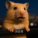츄로랜드