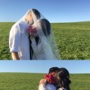 하천교차로(번영로) 1-3 | 제주 셀프웨딩스냅 촬영장소 추천(안친오름, 개오름 등)