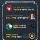 소담동_새샘908동 | [세종 소담동 맛집] 맵슐랭 자담치킨 소담점/ 4가지치즈 불닭볶음면/ 꿀조합