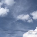 와촌손칼국수본점 이미지