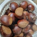 용복 농장 이미지