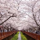 여좌천로 이미지