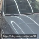 빛나리스팀세차 이미지