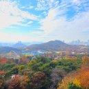 두류공원 이미지