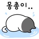 스마트폰으로 시작하는 유튜브 영상편집 이미지