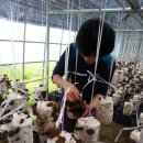 호영농장 이미지