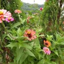 고운뜰길 이미지