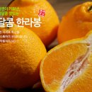 김경철농장 이미지