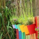 민 행정사 이미지